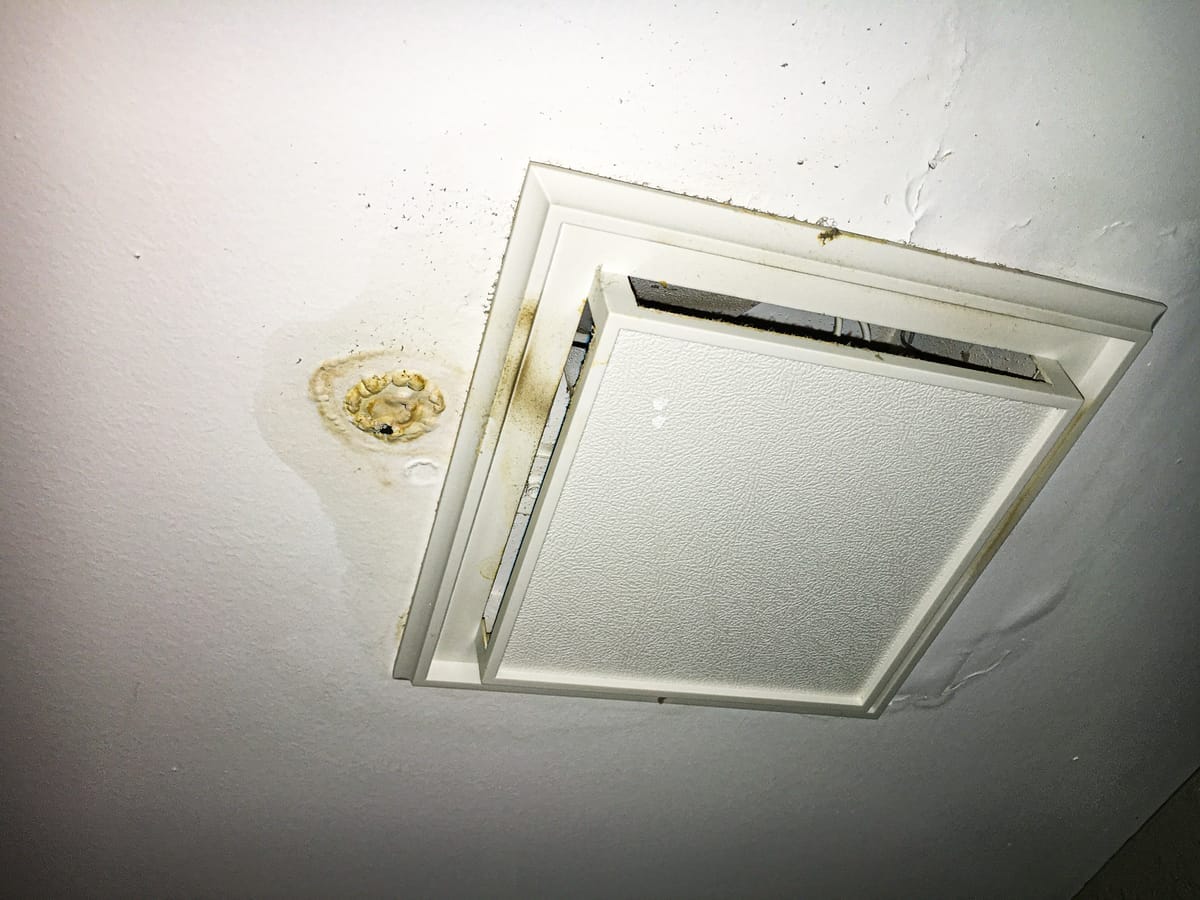 Illustrative example of crawl space mold remediation on floor joists